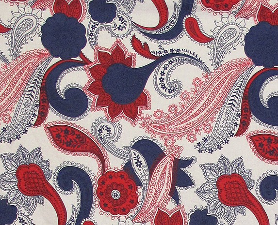 the hipaisley fabric print