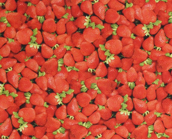 strawberry fabric